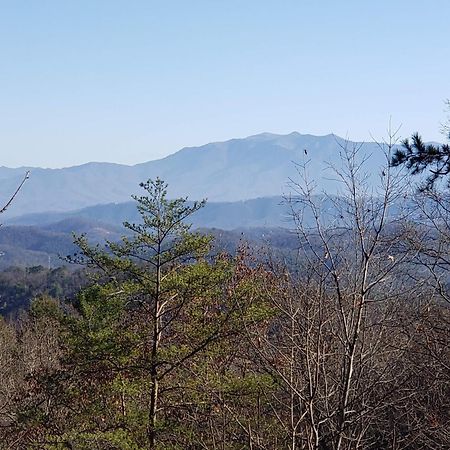 Lazy Bear Cabin Sevierville Extérieur photo