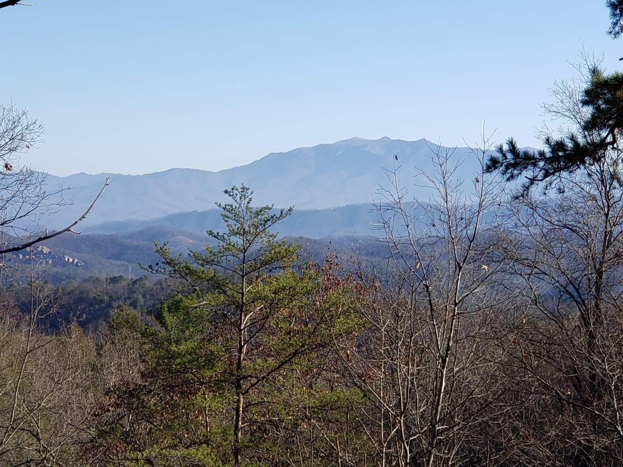 Lazy Bear Cabin Sevierville Extérieur photo